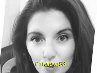 Cataleya88