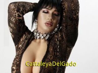 CattaleyaDelGado