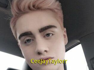 CeeJayTaylorr