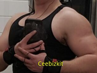 Ceebizkit