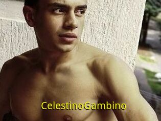 CelestinoGambino