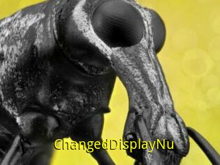 ChangedDisplayNu