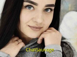 ChatSauvage