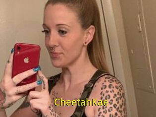 CheetahKae