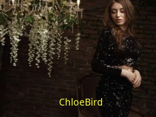 ChloeBird