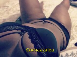 Cocoaazalea