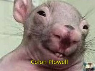 Colon_Plowell
