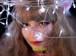Calicat