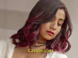 Catalinafox