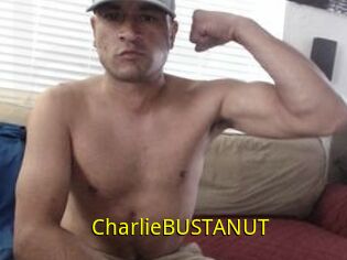 CharlieBUSTANUT