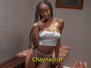 Chaynascot