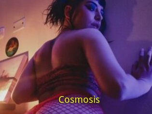Cosmosis