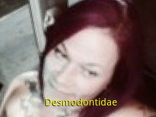 Desmodontidae