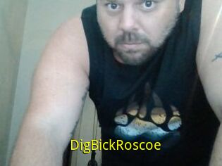 DigBickRoscoe