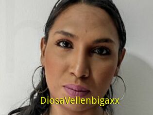 DiosaVellenbigaxx