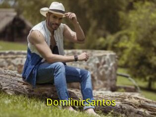 DomiinicSantos