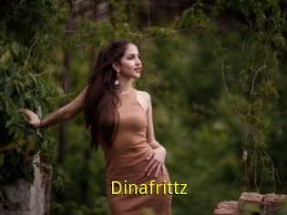 Dinafrittz