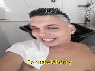 Donnatelohorny