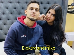 Elektraandmike