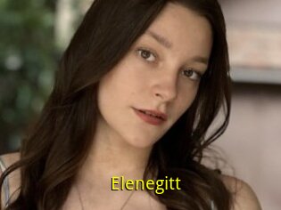 Elenegitt