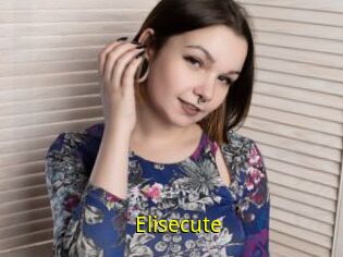 Elisecute