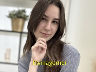 Elvinagomer