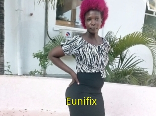 Eunifix