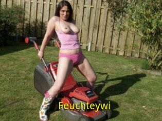 Feuchteywi