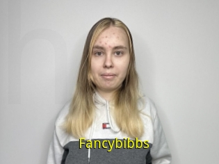 Fancybibbs
