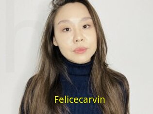Felicecarvin