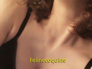 Felinecoquine
