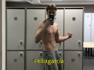 Fellixgarcia