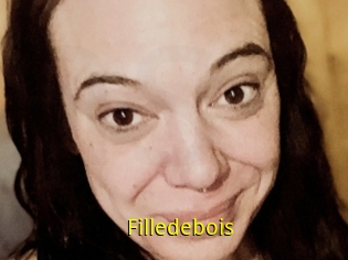 Filledebois
