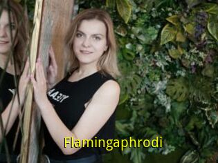 Flamingaphrodi
