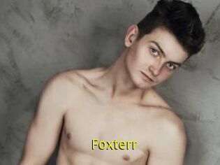 Foxterr