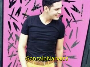 GonzaloNarvaes