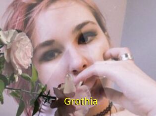 Grothia