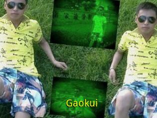 Gaokui