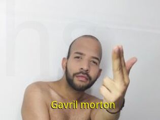 Gavril_morton