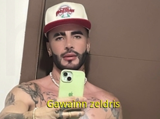 Gawainn_zeldris