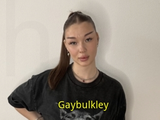 Gaybulkley