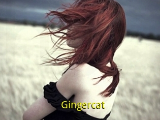 Gingercat