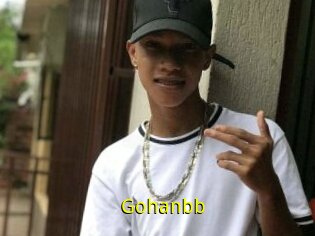 Gohanbb