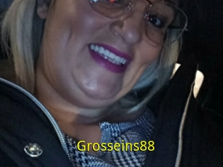 Grosseins88