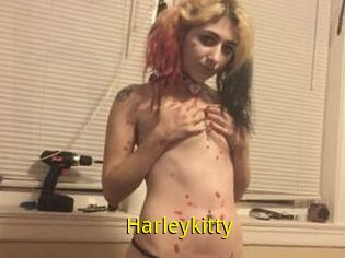 Harleykitty