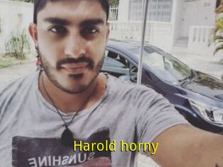 Harold_horny