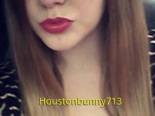 Houstonbunny713