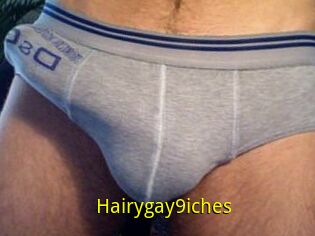 Hairygay9iches