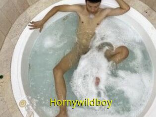 Hornywildboy