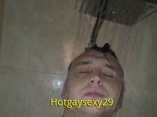 Hotgaysexy29